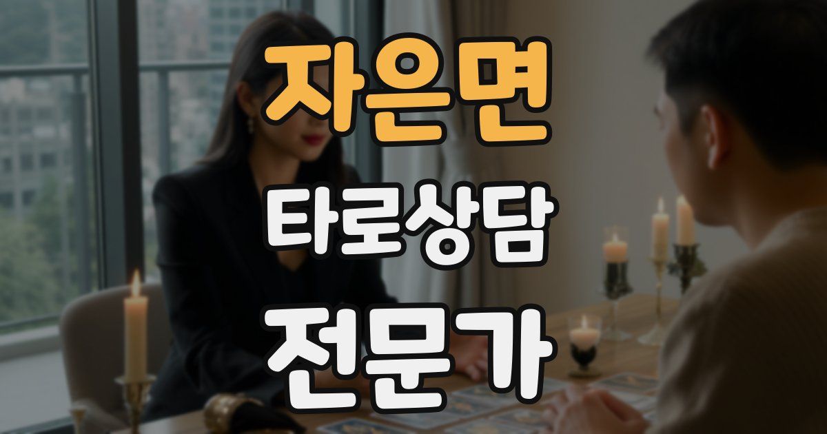 자은면 타로상담전문가 자격증