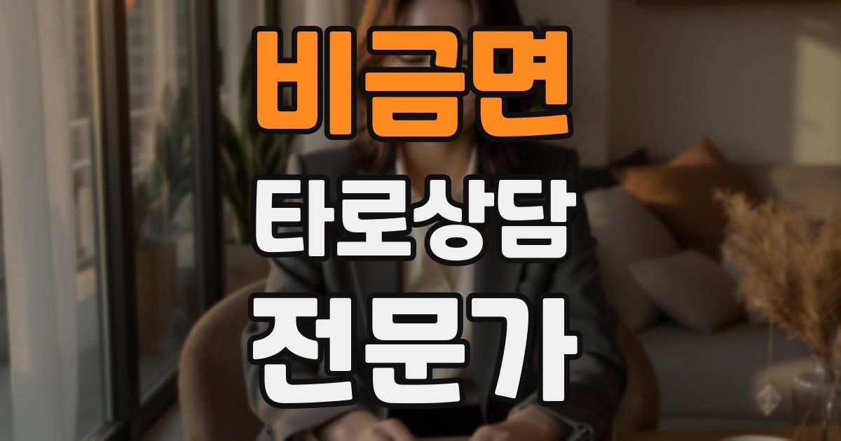 비금면 타로상담전문가 자격증