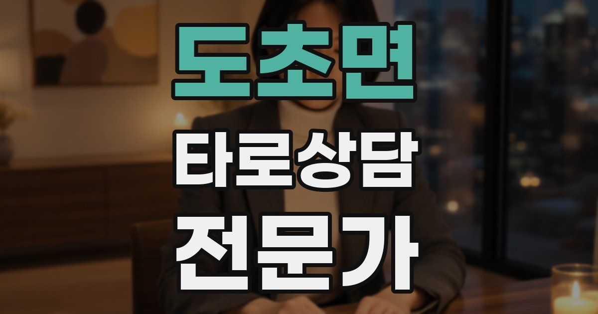 도초면 타로상담전문가 자격증