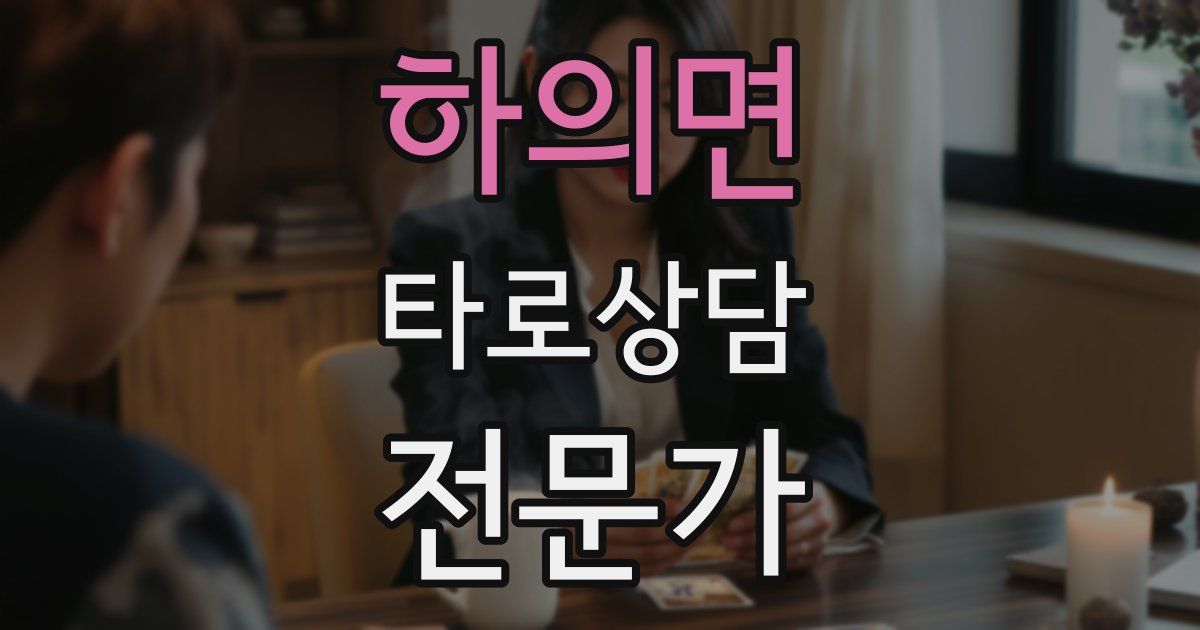 하의면 타로상담전문가 자격증