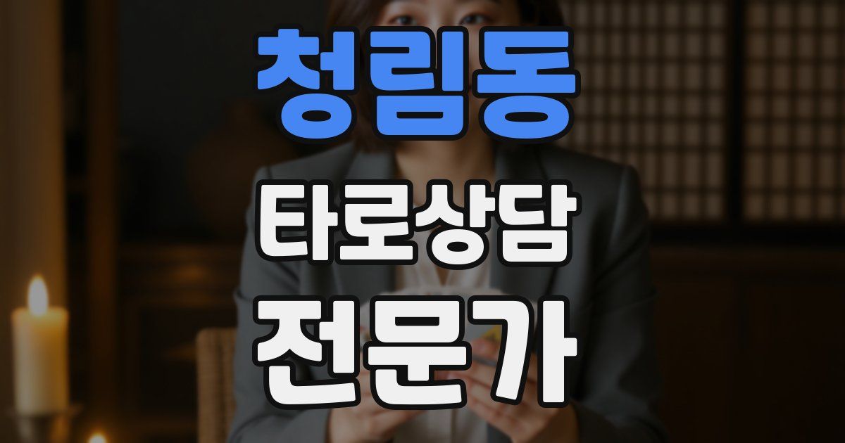 청림동 타로상담전문가 자격증