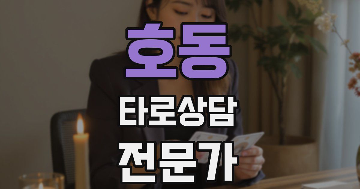 호동 타로상담전문가 자격증