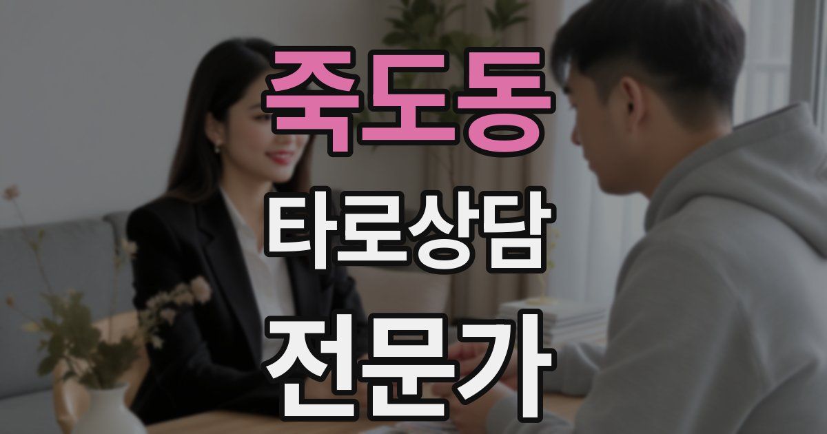 죽도동 타로상담전문가 자격증