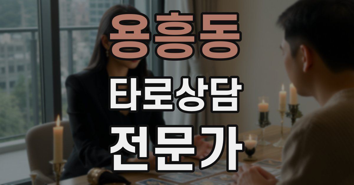 용흥동 타로상담전문가 자격증