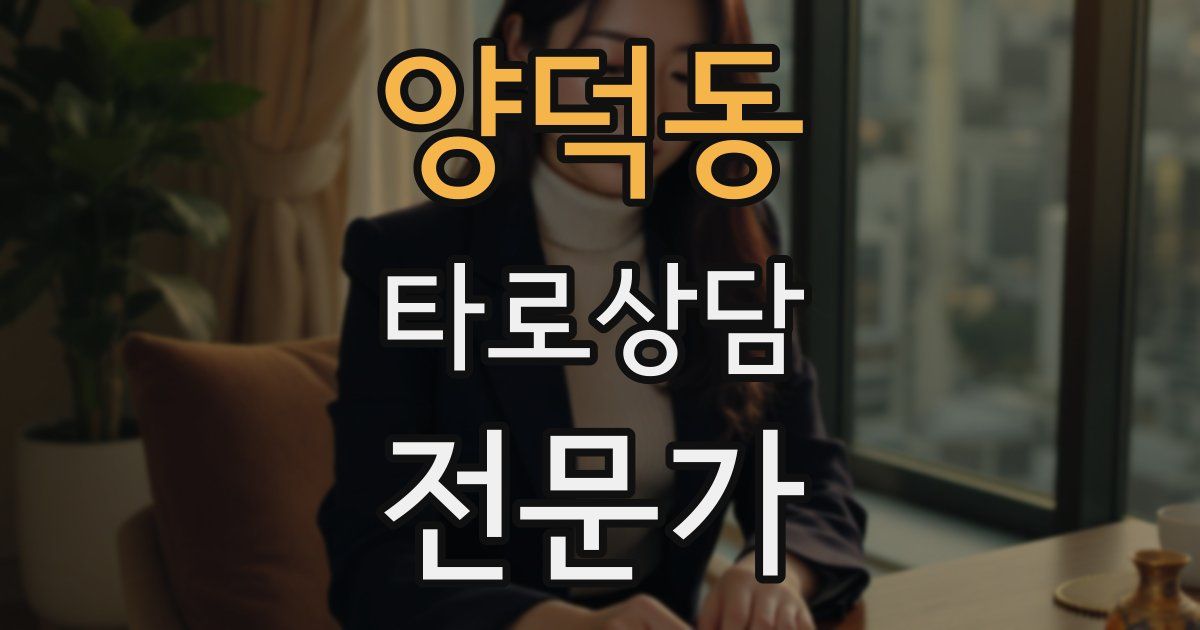 양덕동 타로상담전문가 자격증