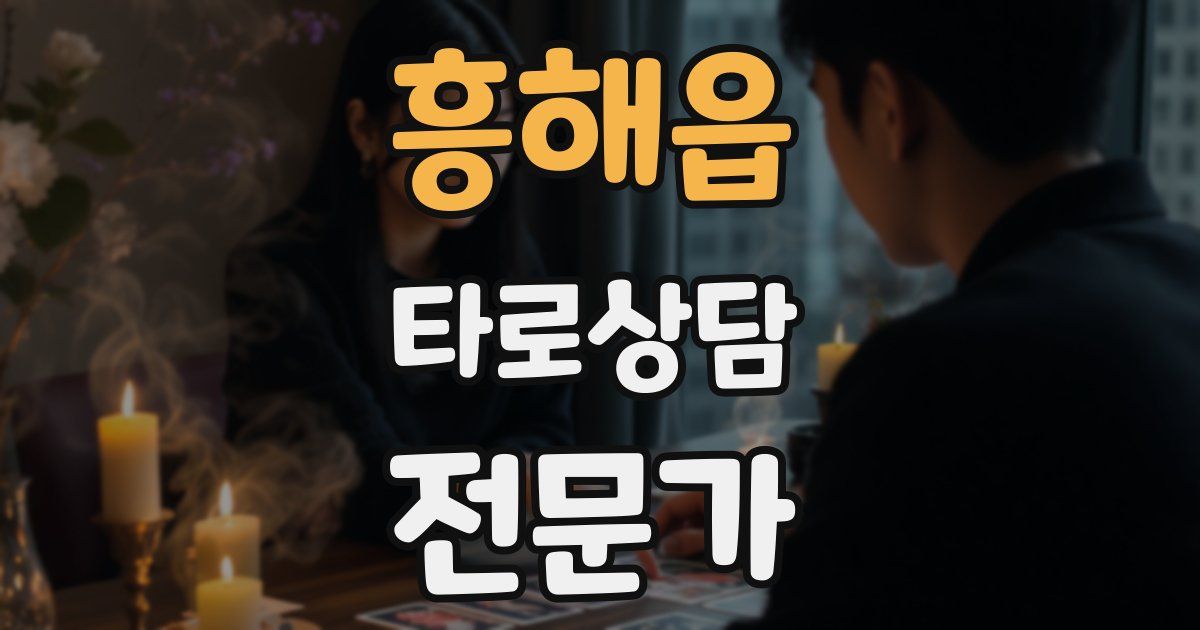 흥해읍 타로상담전문가 자격증