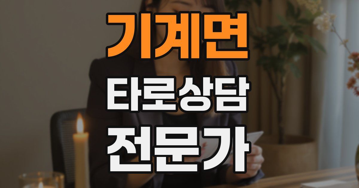 기계면 타로상담전문가 자격증