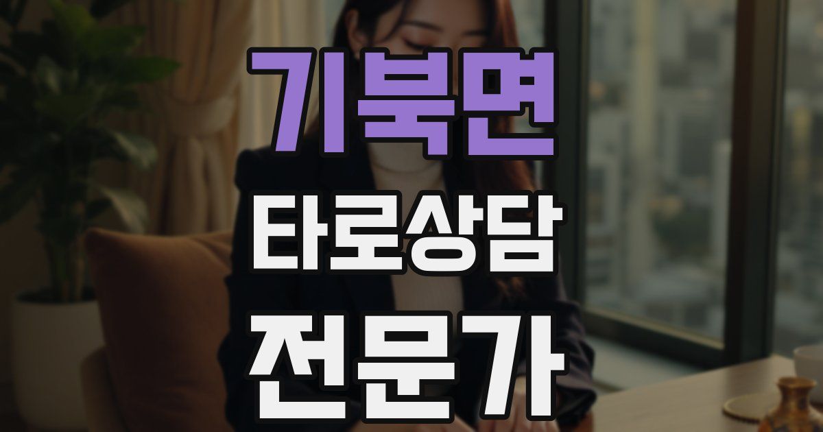 기북면 타로상담전문가 자격증