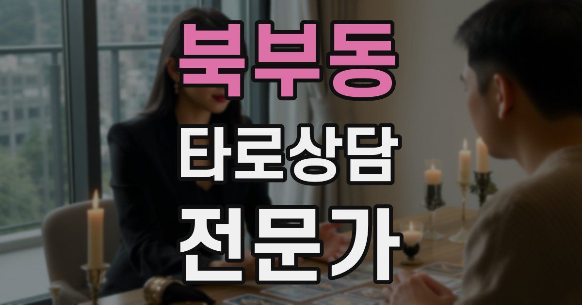 북부동 타로상담전문가 자격증