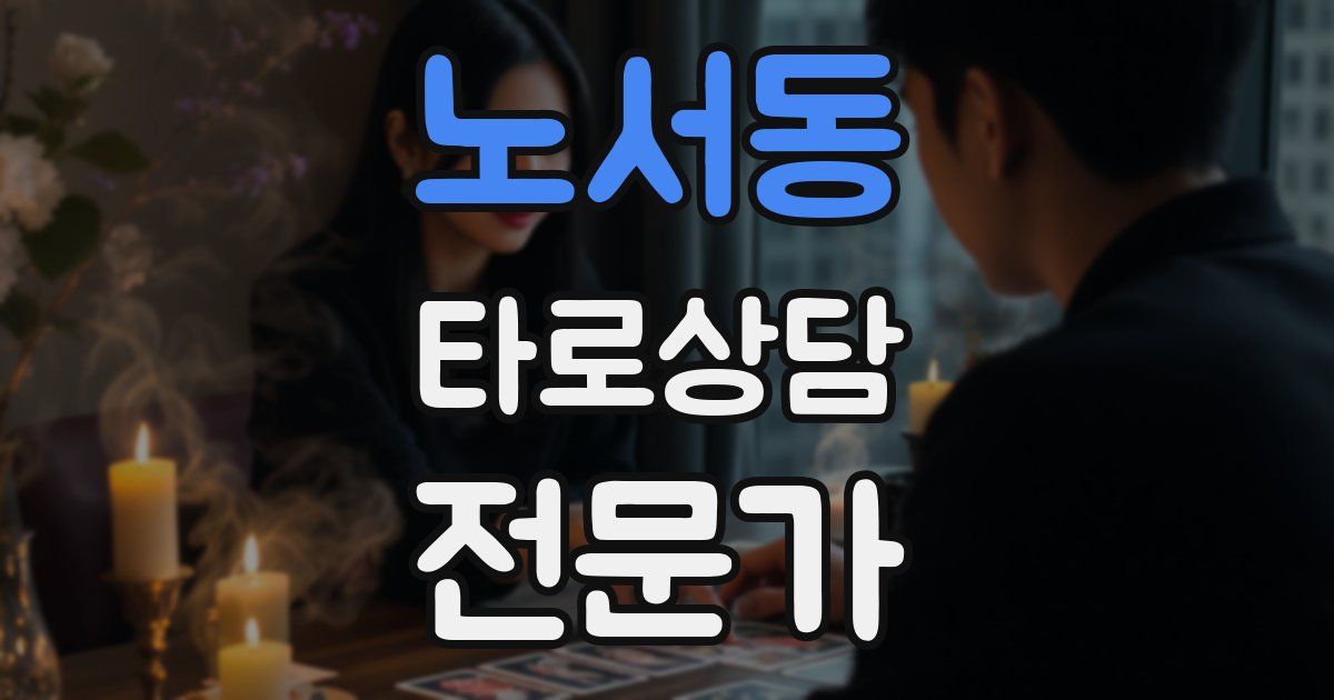노서동 타로상담전문가 자격증