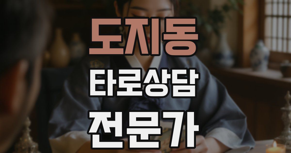 도지동 타로상담전문가 자격증