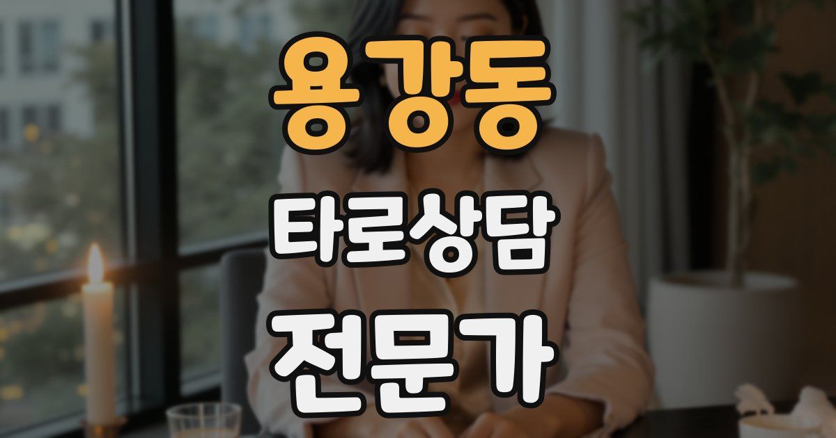 용강동 타로상담전문가 자격증