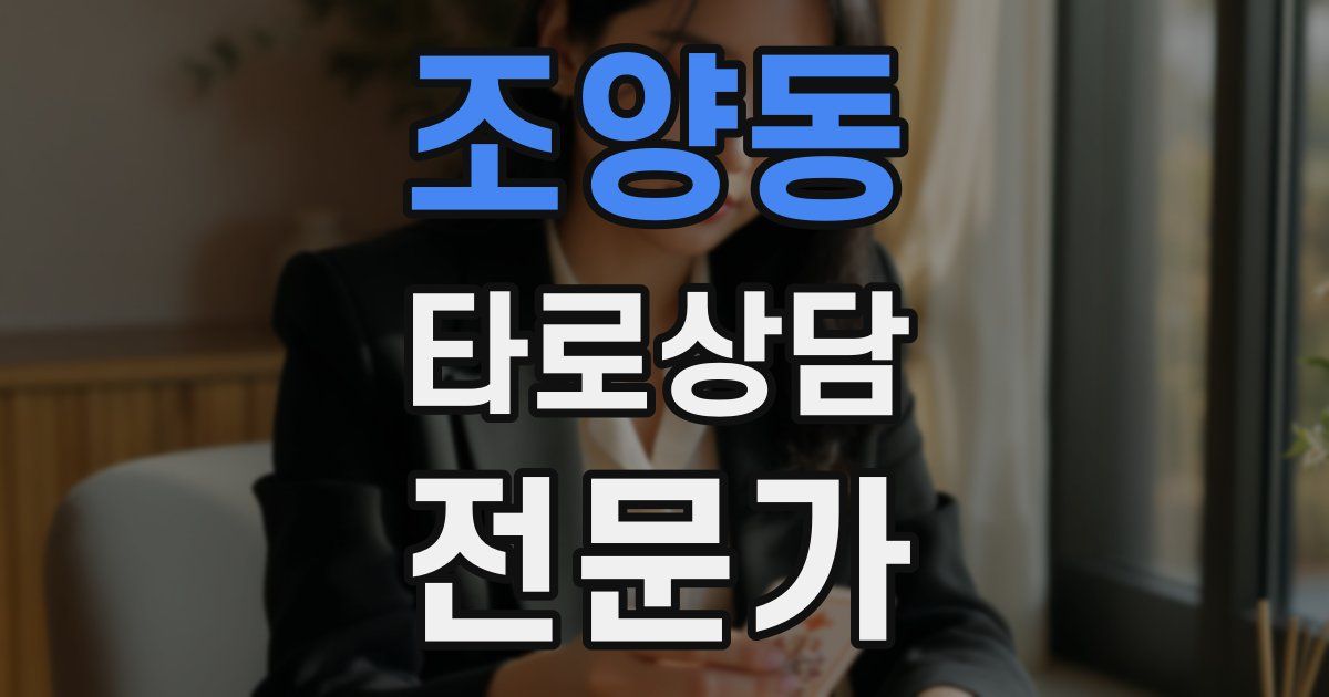 조양동 타로상담전문가 자격증