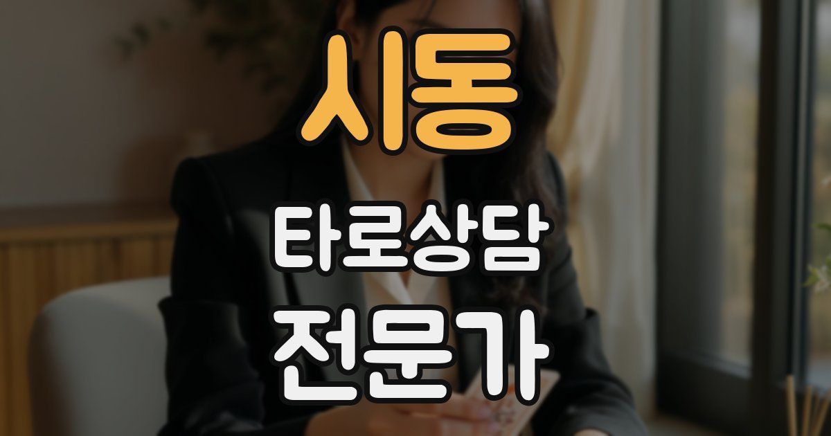시동 타로상담전문가 자격증