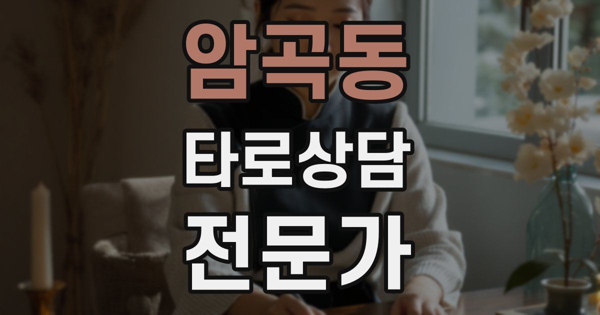 암곡동 타로상담전문가 자격증