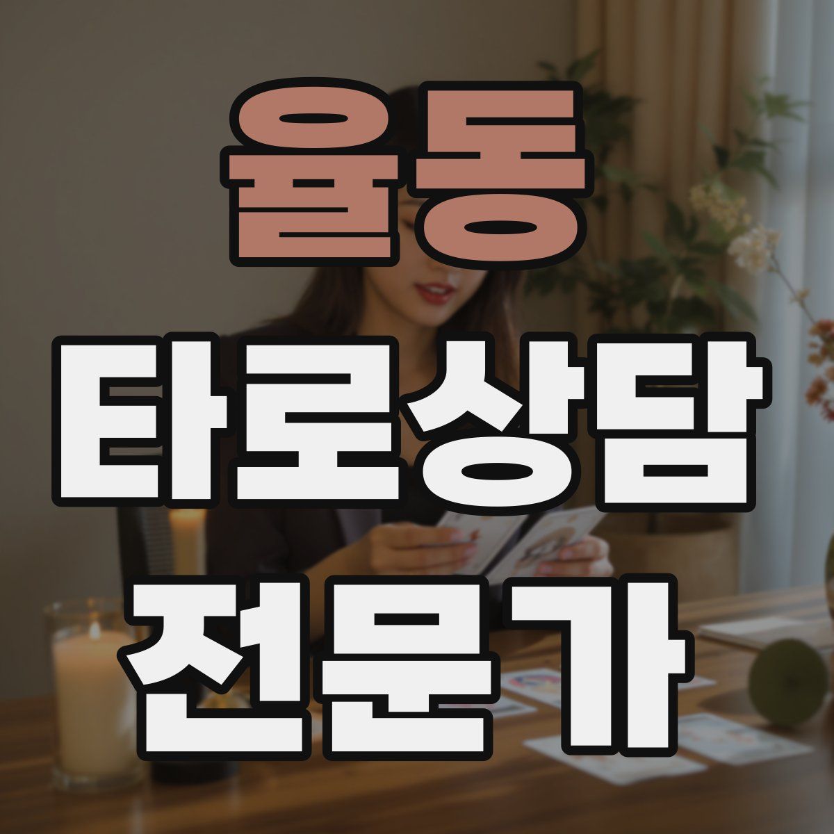 율동 타로상담전문가 자격증