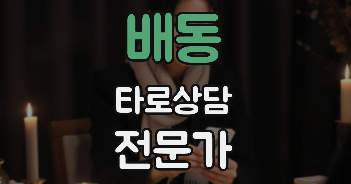 배동 타로상담전문가 자격증