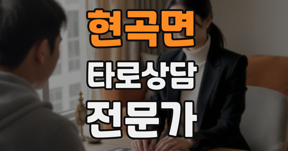 현곡면 타로상담전문가 자격증