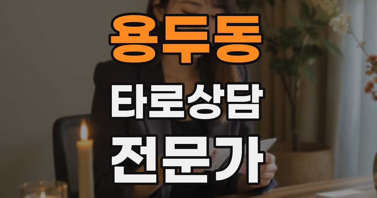 용두동 타로상담전문가 자격증
