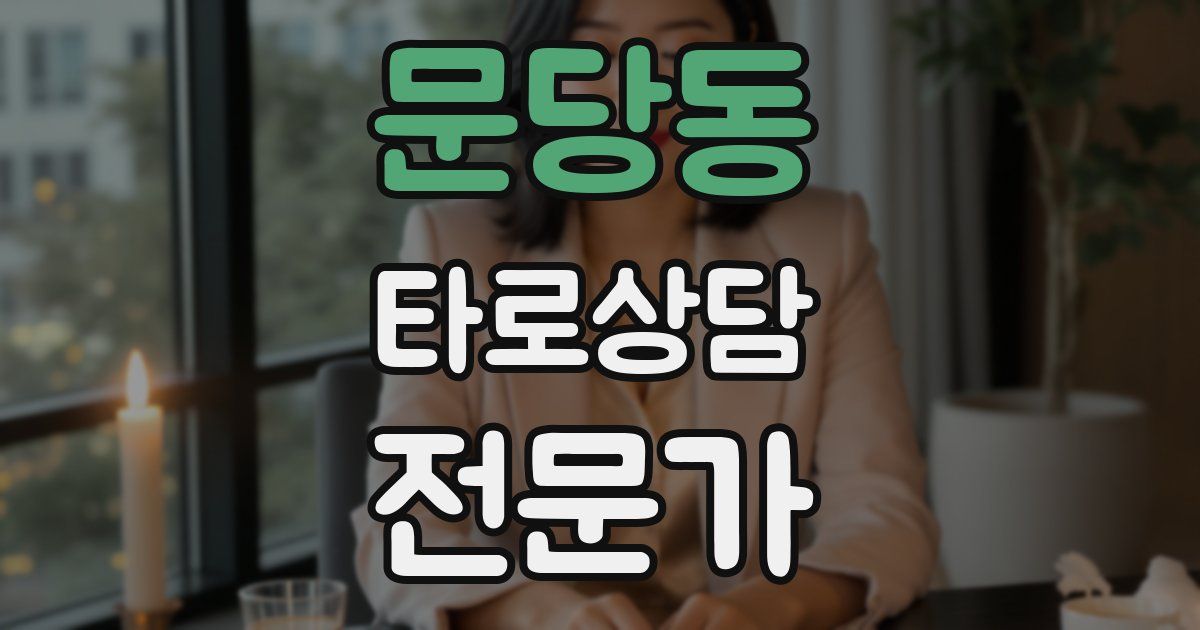 문당동 타로상담전문가 자격증