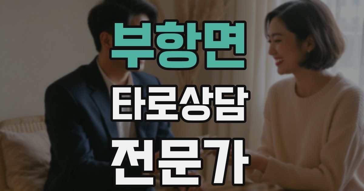 부항면 타로상담전문가 자격증