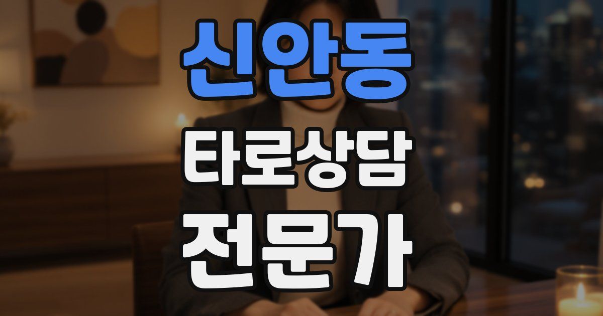 신안동 타로상담전문가 자격증