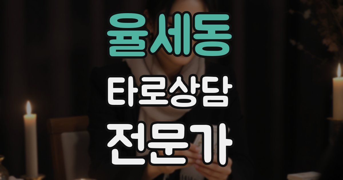 율세동 타로상담전문가 자격증