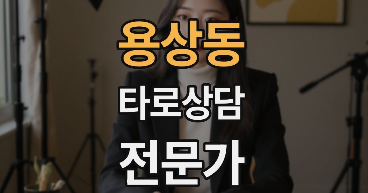 용상동 타로상담전문가 자격증