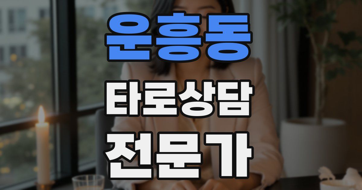 운흥동 타로상담전문가 자격증