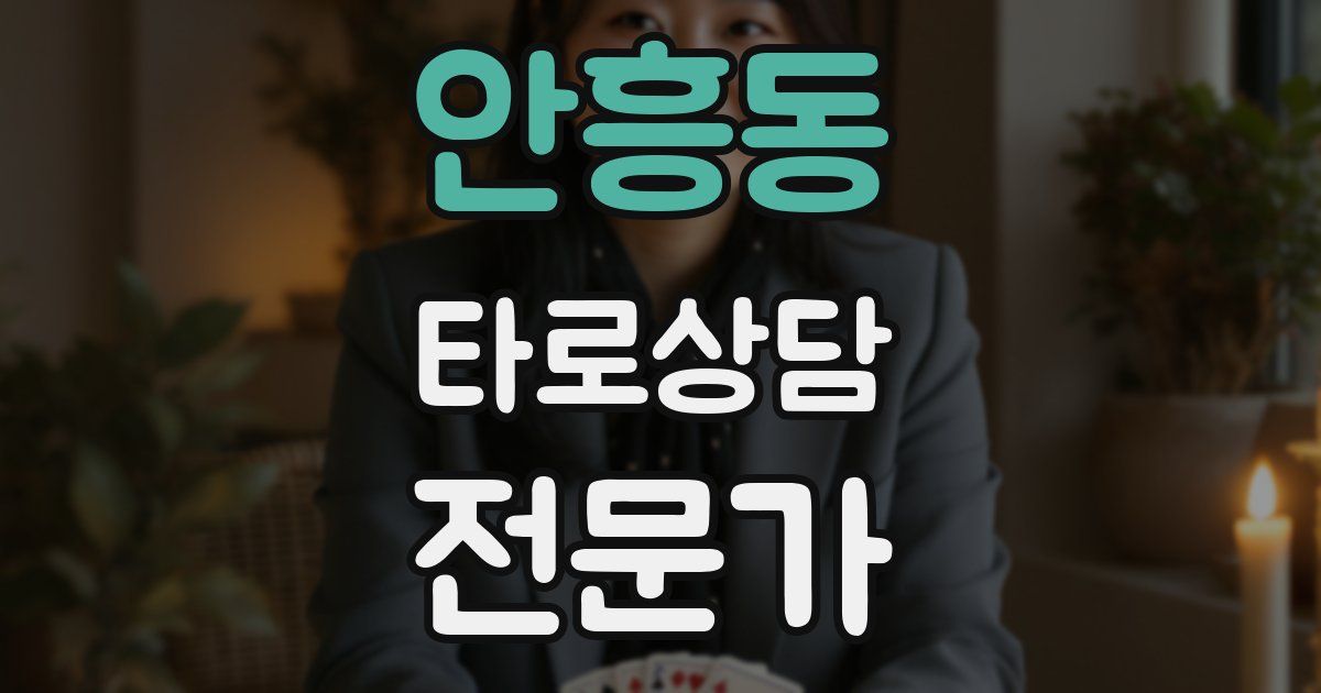 안흥동 타로상담전문가 자격증