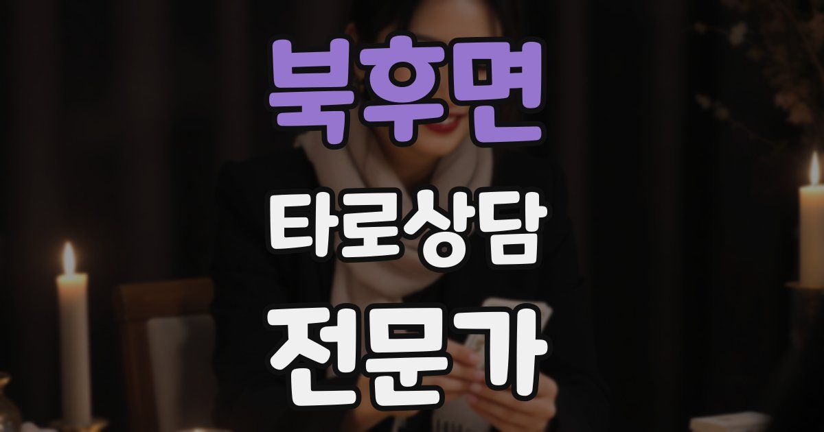 북후면 타로상담전문가 자격증