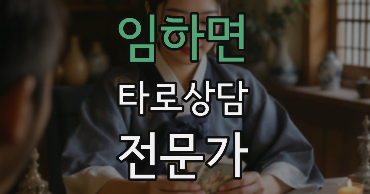 임하면 타로상담전문가 자격증