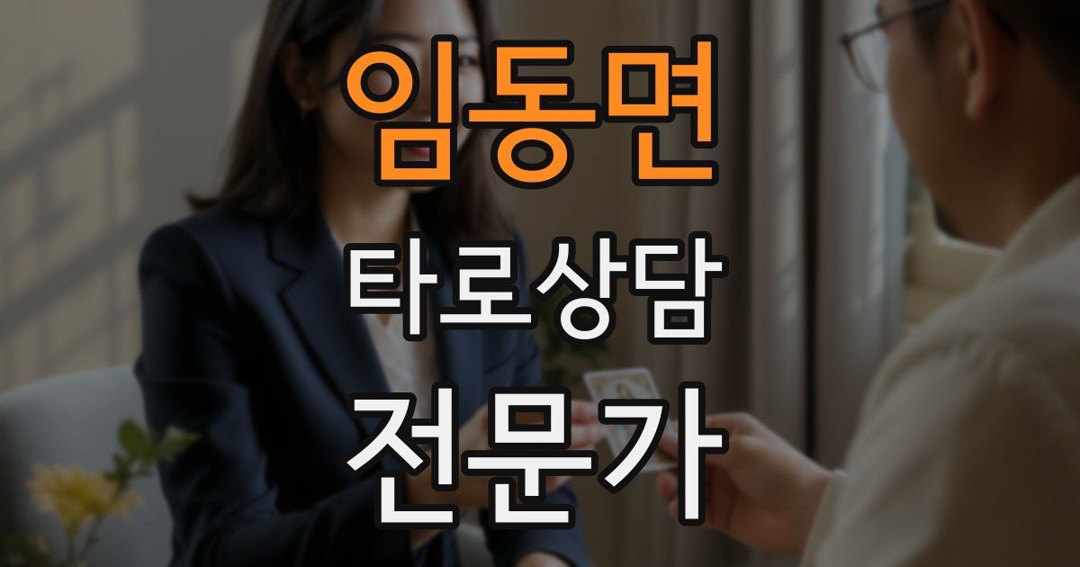 임동면 타로상담전문가 자격증