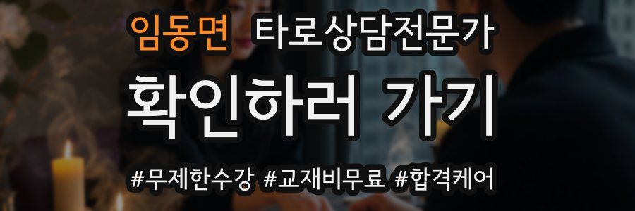 임동면 타로상담전문가 자격증