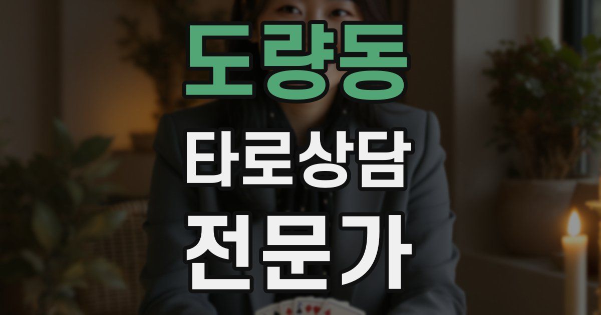 도량동 타로상담전문가 자격증