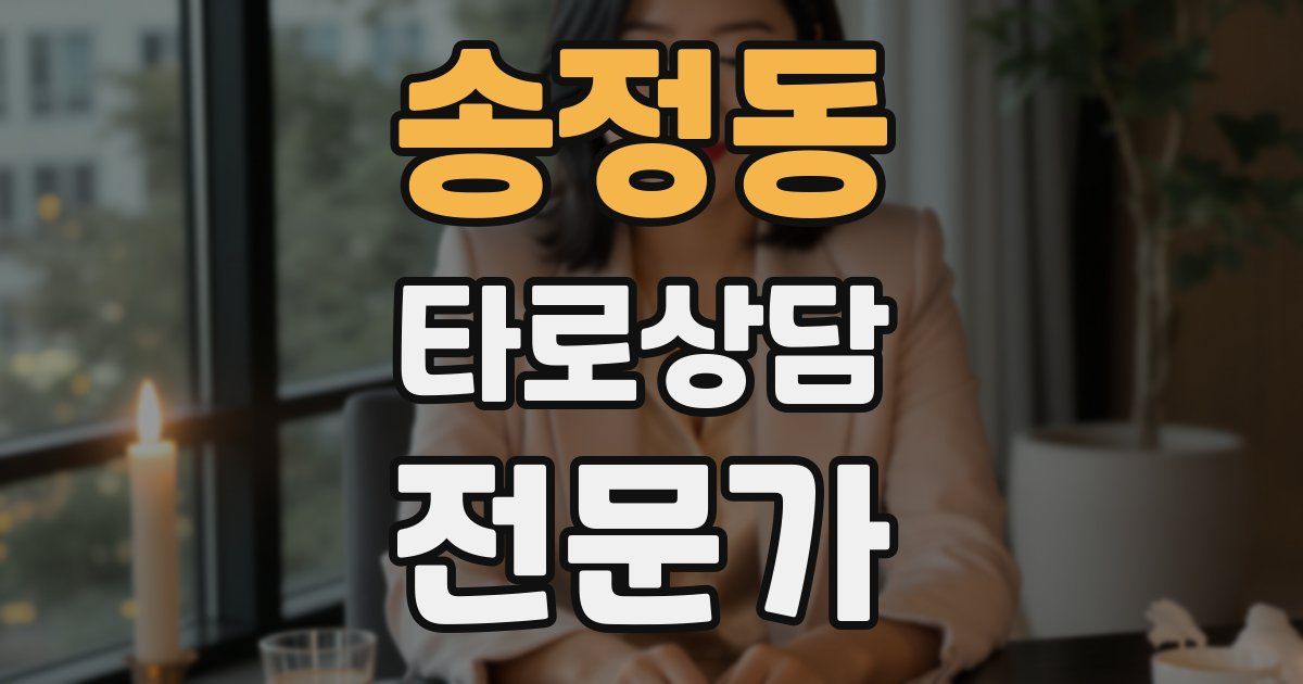 송정동 타로상담전문가 자격증