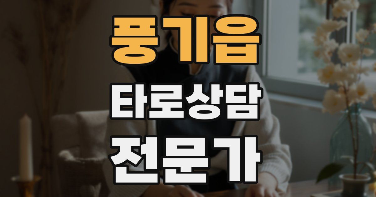 풍기읍 타로상담전문가 자격증