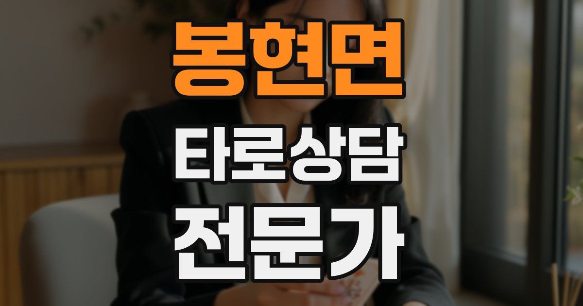 봉현면 타로상담전문가 자격증