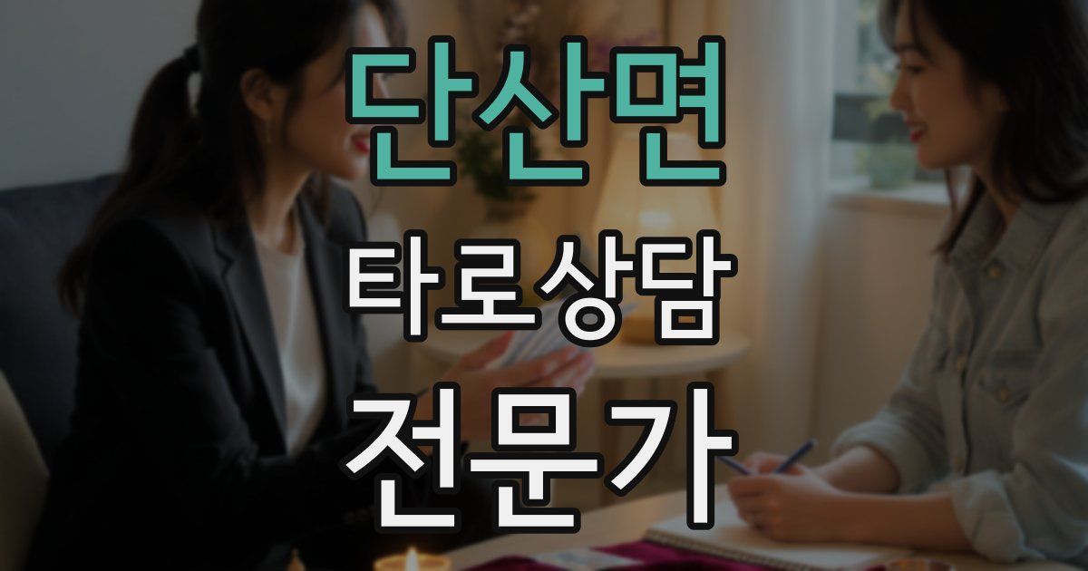 단산면 타로상담전문가 자격증