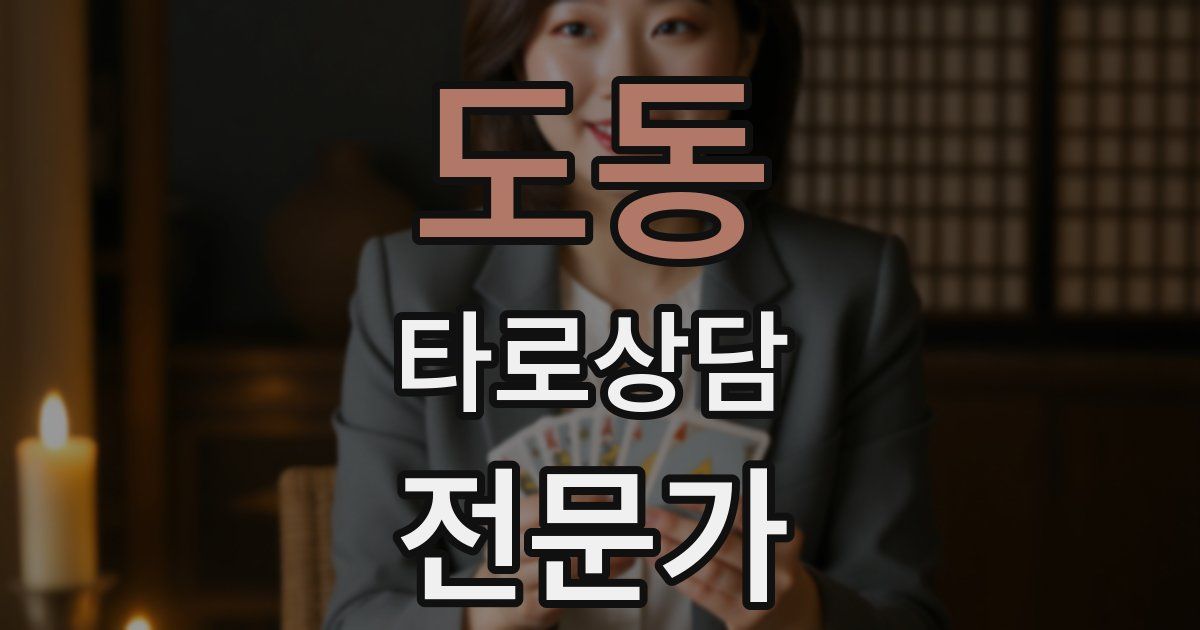 도동 타로상담전문가 자격증