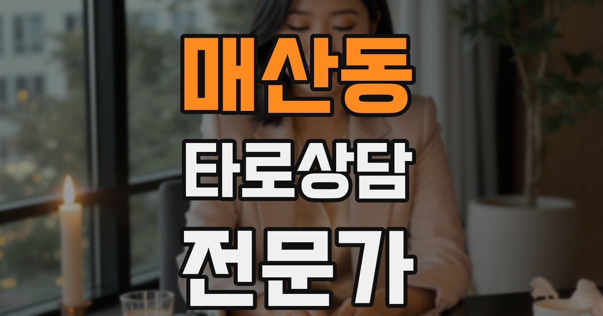 매산동 타로상담전문가 자격증