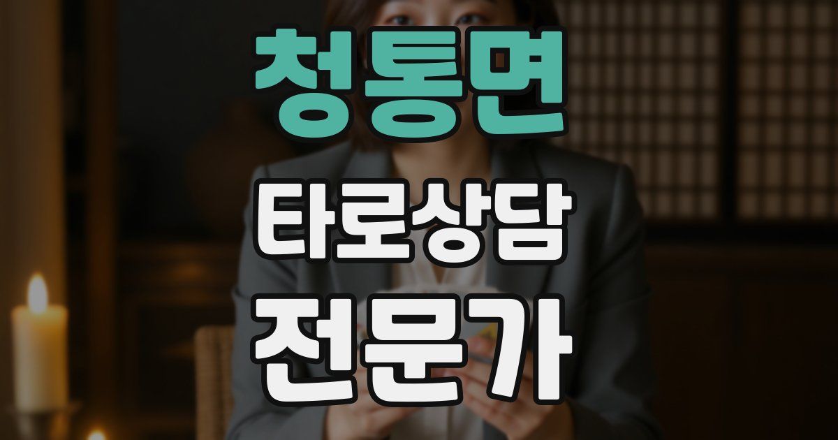 청통면 타로상담전문가 자격증
