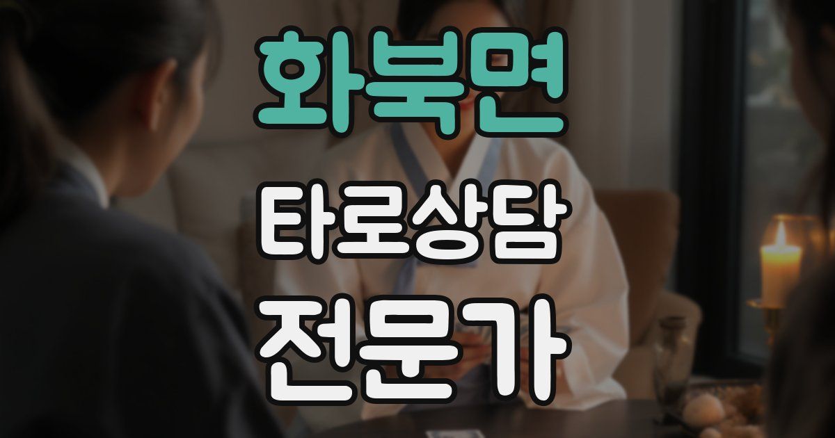 화북면 타로상담전문가 자격증