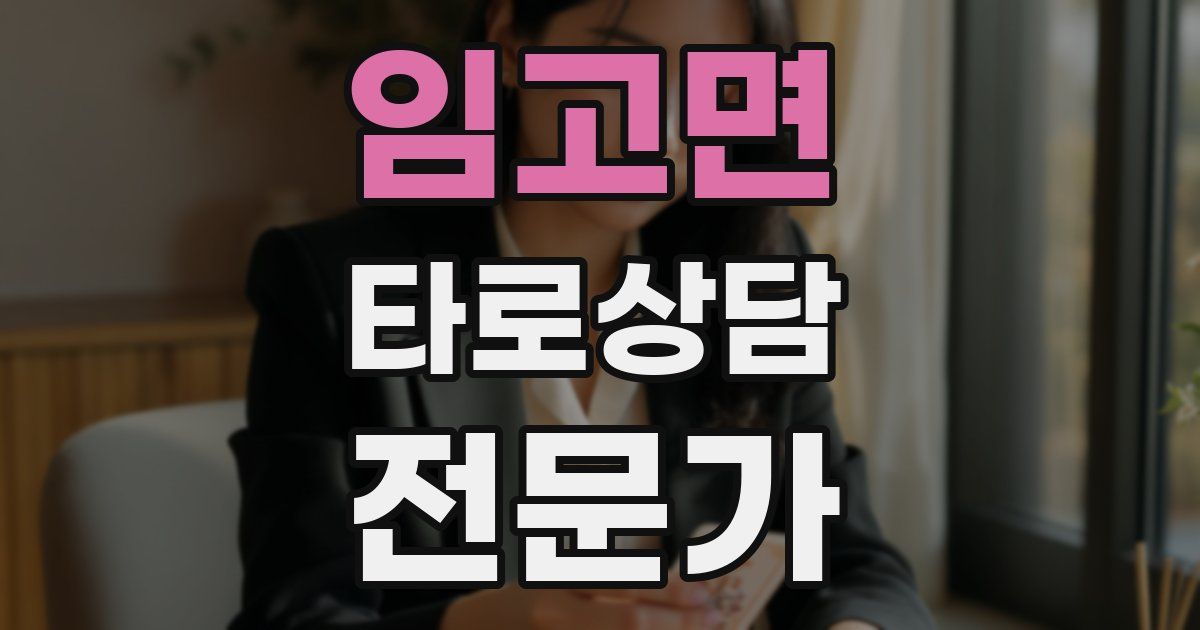 임고면 타로상담전문가 자격증