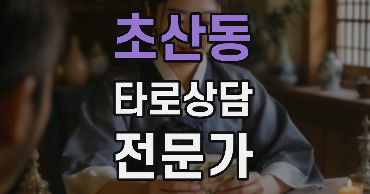 초산동 타로상담전문가 자격증