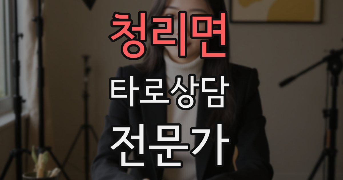 청리면 타로상담전문가 자격증