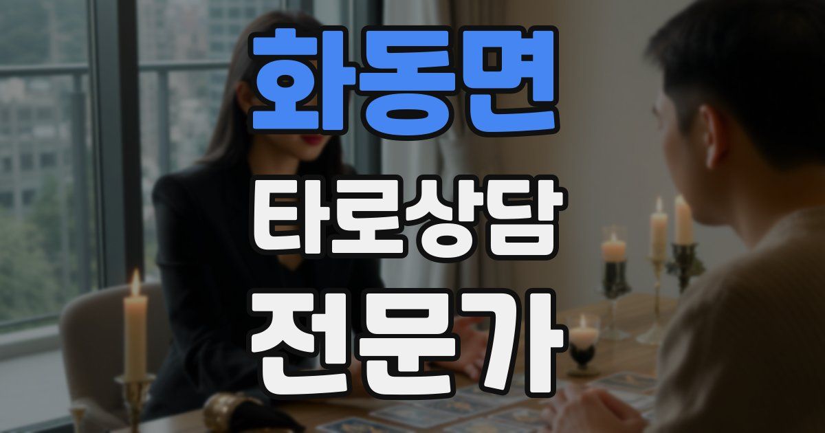 화동면 타로상담전문가 자격증
