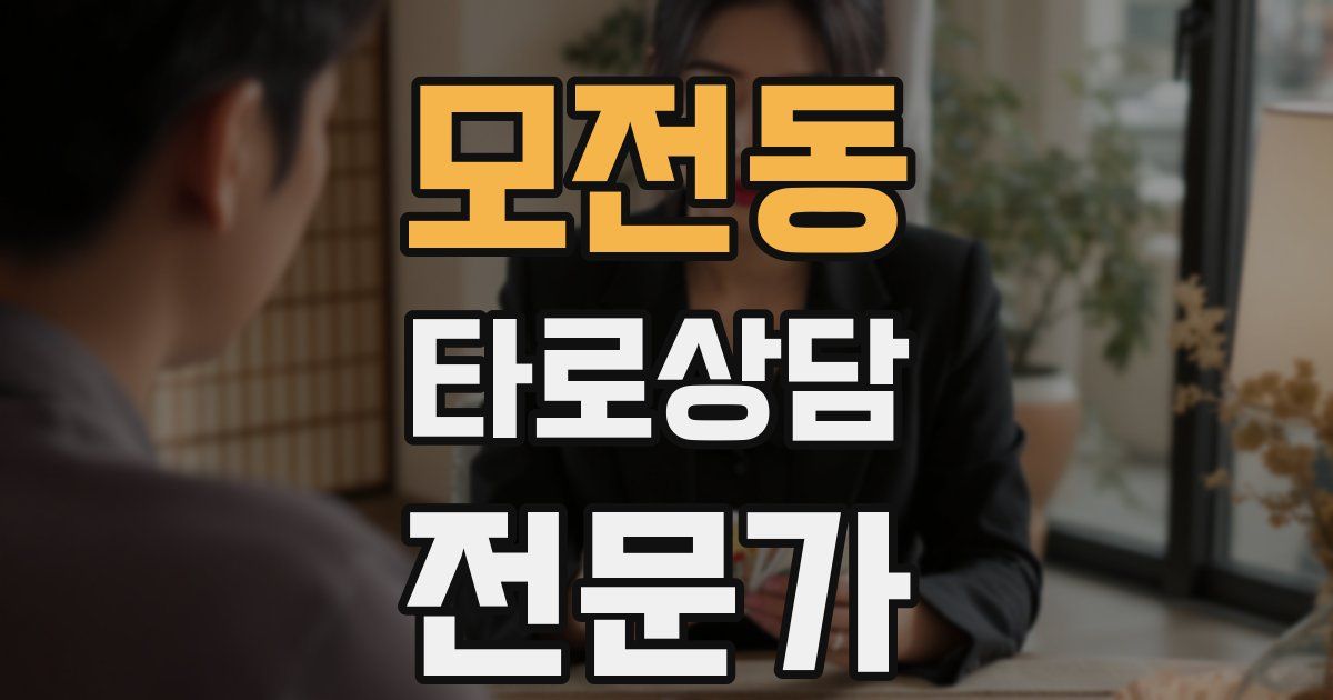 모전동 타로상담전문가 자격증
