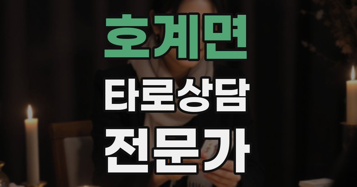 호계면 타로상담전문가 자격증