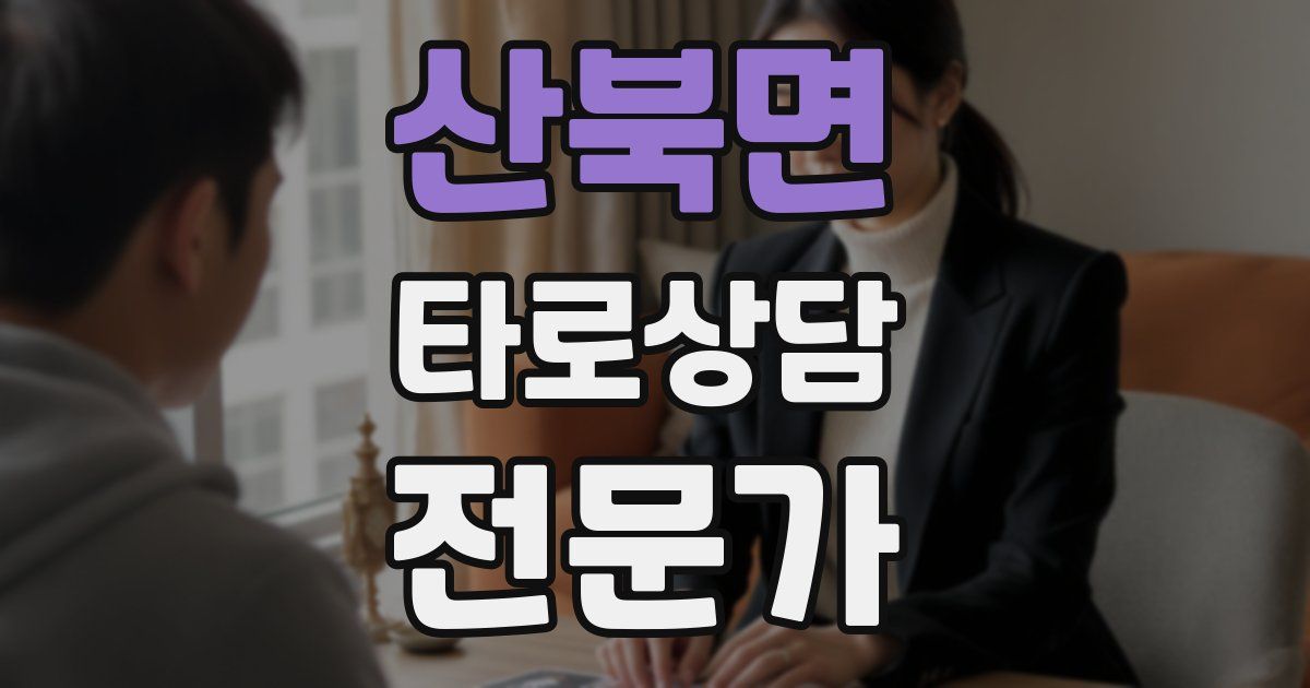 산북면 타로상담전문가 자격증